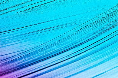 《犯罪现场清洁师》登陆Steam 打扫干净获取报酬